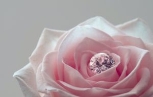 Pink Diamond Suppliers-argyle-jewellers