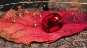 festive-jewellery-ruby